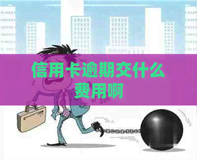 信用卡逾期交什么费用啊