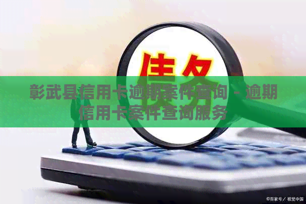 彰武县信用卡逾期案件查询 - 逾期信用卡案件查询服务