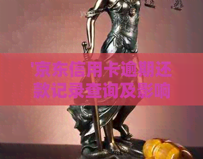 '京东信用卡逾期还款记录查询及影响'