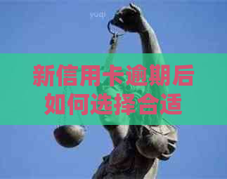 新信用卡逾期后如何选择合适的贷款方式购车，避免陷入财务困境？