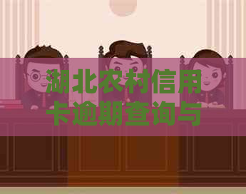 湖北农村信用卡逾期查询与处理指南