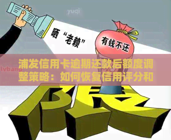 浦发信用卡逾期还款后额度调整策略：如何恢复信用评分和提高可用额度？
