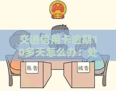交通信用卡逾期10多天怎么办：处理流程与新法规详解