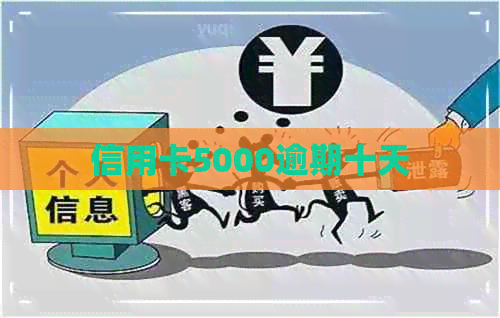 信用卡5000逾期十天