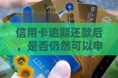 信用卡逾期还款后，是否仍然可以申请？解答疑惑并了解关键因素