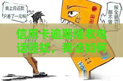 信用卡逾期电话，我该如何应对？