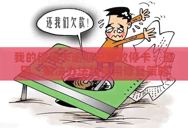我的信用卡逾期已导致停卡：原因、解决办法和信用修复策略