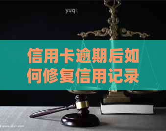 信用卡逾期后如何修复信用记录：全面指南与实用建议