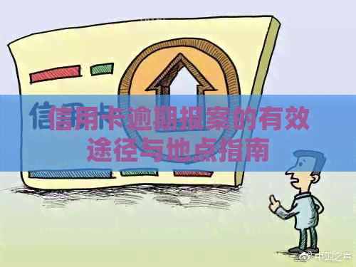 信用卡逾期报案的有效途径与地点指南