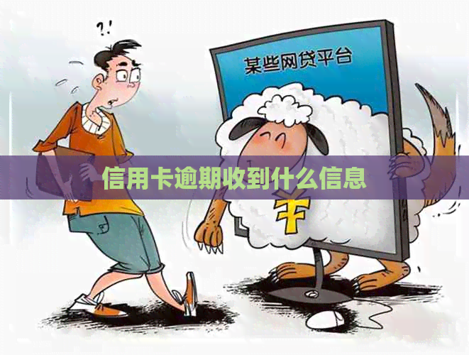 信用卡逾期收到什么信息