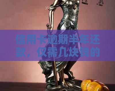 信用卡逾期半年还款，仅需几块钱的教训与启示
