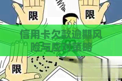 信用卡欠款逾期风险与应对策略