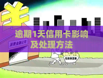 逾期1天信用卡影响及处理方法