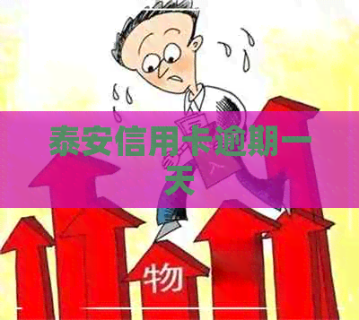 泰安信用卡逾期一天