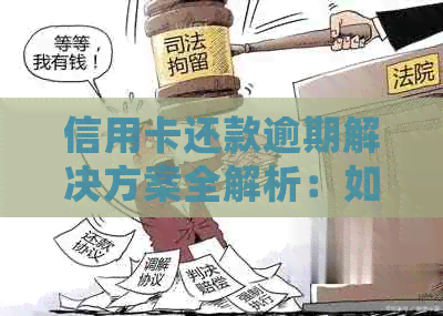 信用卡还款逾期解决方案全解析：如何快速处理避免罚息与信用损害