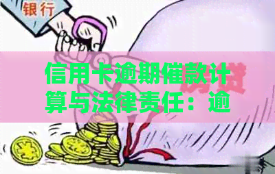 信用卡逾期催款计算与法律责任：逾期金额、违约金及起诉标准。