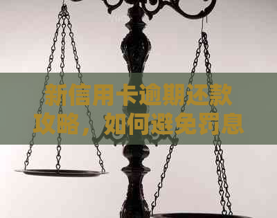 新信用卡逾期还款攻略，如何避免罚息和信用损失？