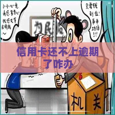 信用卡还不上逾期了咋办