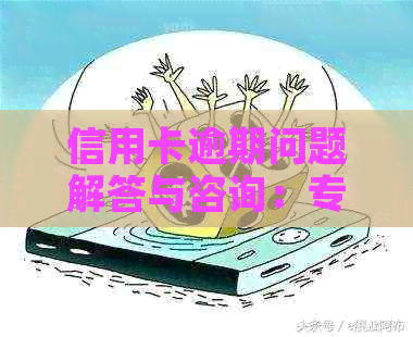 信用卡逾期问题解答与咨询：专业热线为您服务