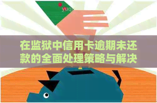 在监狱中信用卡逾期未还款的全面处理策略与解决方案