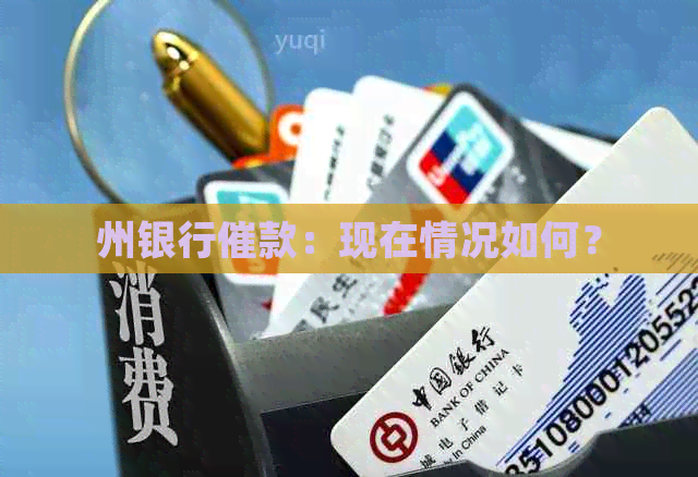 州银行催款：现在情况如何？