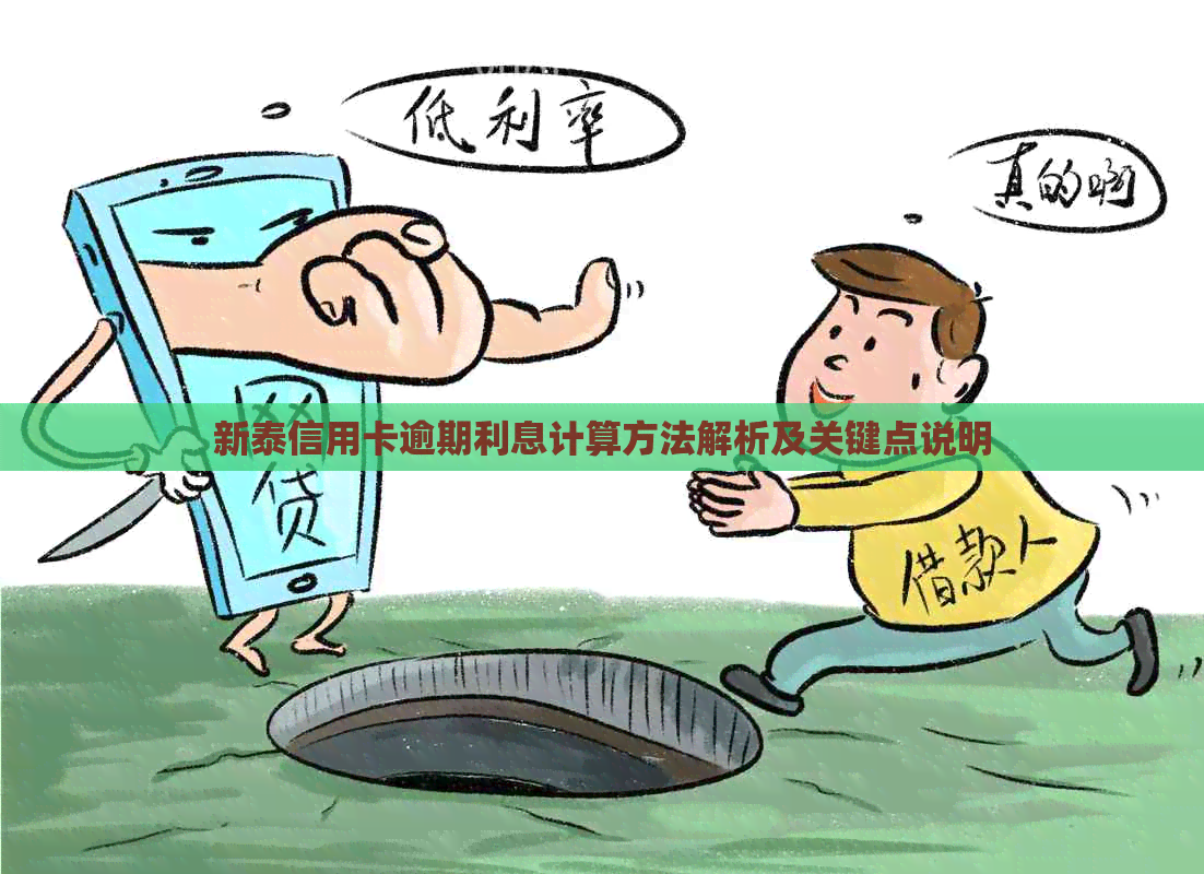 新泰信用卡逾期利息计算方法解析及关键点说明