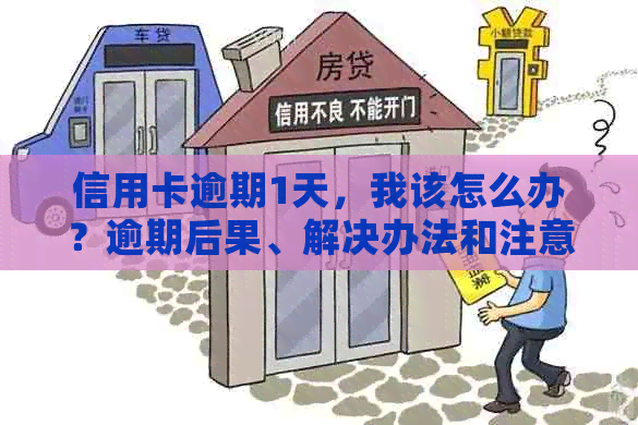 信用卡逾期1天，我该怎么办？逾期后果、解决办法和注意事项一览