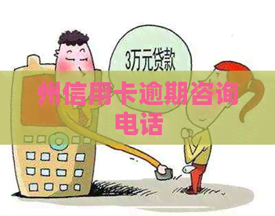 州信用卡逾期咨询电话