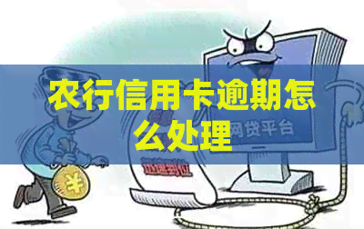 农行信用卡逾期怎么处理