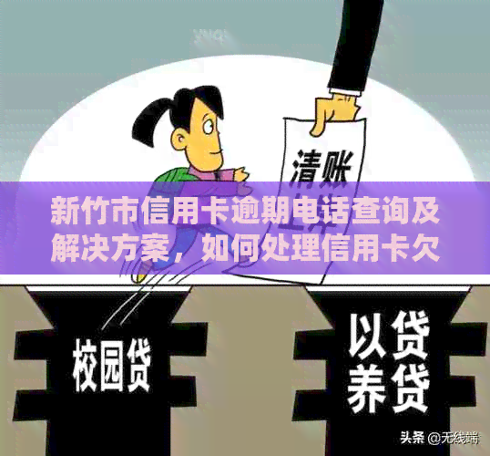 新竹市信用卡逾期电话查询及解决方案，如何处理信用卡欠款等问题