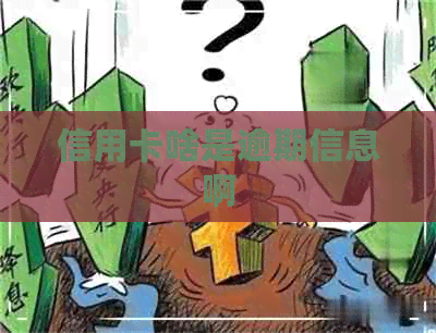 信用卡啥是逾期信息啊
