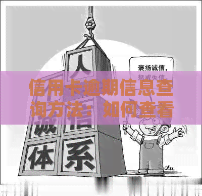 信用卡逾期信息查询方法：如何查看及具体时间