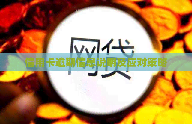 信用卡逾期信息说明及应对策略