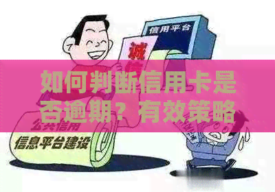 如何判断信用卡是否逾期？有效策略和步骤解析