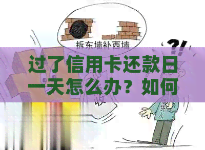 过了信用卡还款日一天怎么办？如何避免逾期和罚款，以及补救措