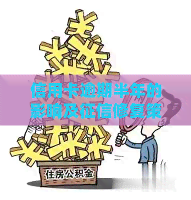 信用卡逾期半年的影响及修复策略