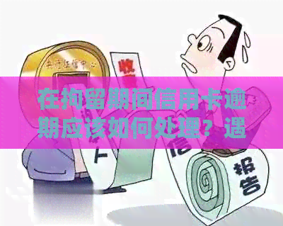 在拘留期间信用卡逾期应该如何处理？遇到此类情况的全面解决方案