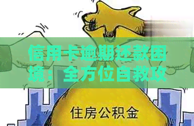 信用卡逾期还款困境：全方位自救攻略与解决方案