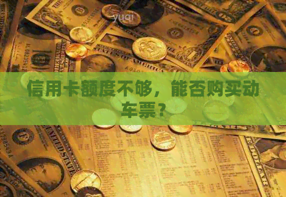 信用卡额度不够，能否购买动车票？