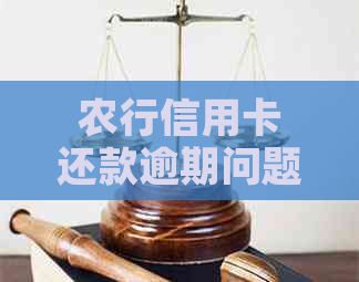 农行信用卡还款逾期问题，如何解决？