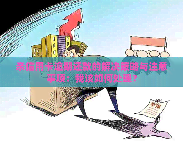 亲信用卡逾期还款的解决策略与注意事项：我该如何处理？