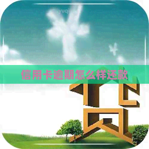 信用卡逾期怎么样还款