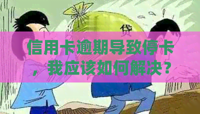 信用卡逾期导致停卡，我应该如何解决？逾期还款后果与恢复信用的步骤解析