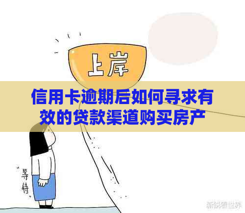 信用卡逾期后如何寻求有效的贷款渠道购买房产