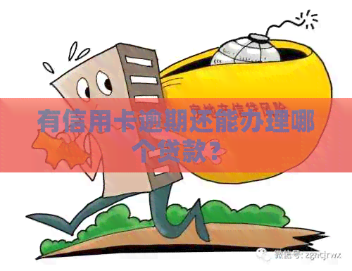 有信用卡逾期还能办理哪个贷款？