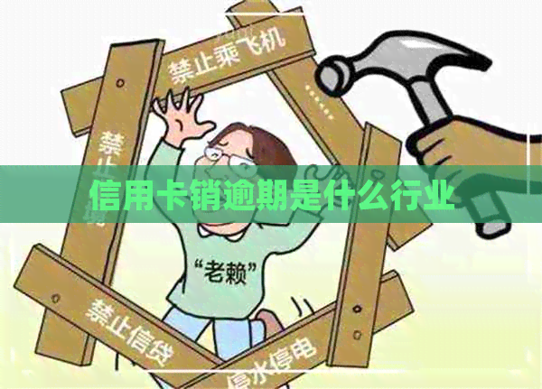 信用卡销逾期是什么行业