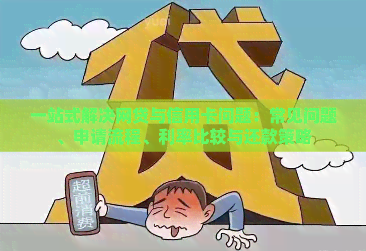 一站式解决网贷与信用卡问题：常见问题、申请流程、利率比较与还款策略