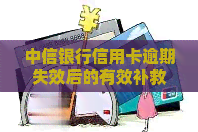 中信银行信用卡逾期失效后的有效补救措与恢复方法详解