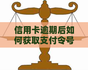 信用卡逾期后如何获取支付令号？