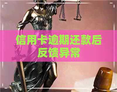 信用卡逾期还款后反馈异常